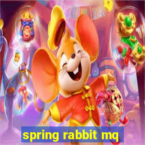 spring rabbit mq